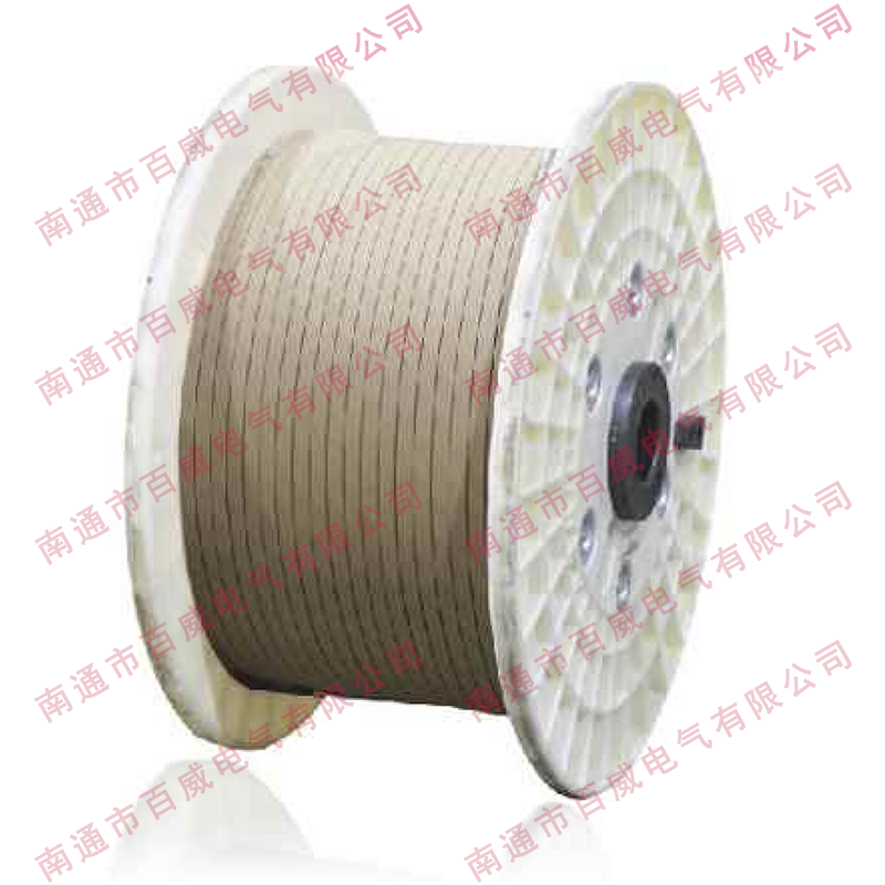 电缆纸绕包线